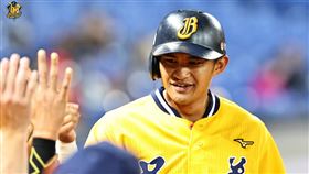 ▲兄弟岳東華此役手感火燙，僅差一支三壘安打就能締造完全打擊。（圖／中信兄弟提供）