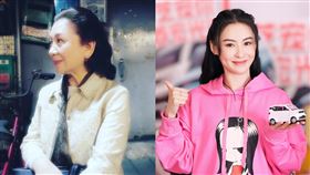 鮑起靜提供、張柏芝微博