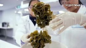 (專案)常景蔬菜湯18240913i