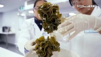 萃取褐藻精華　常景生技主打獨家技術