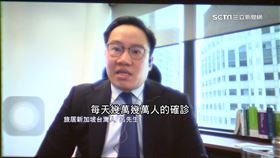 獨家／訪新加坡台人！「與毒共存難免陣痛期」