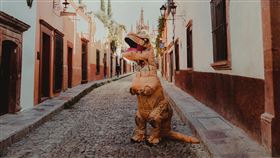 恐龍裝、暴龍裝。（圖／翻攝自Pexels）