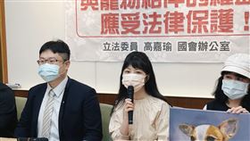 0422高嘉瑜召開【動物不只是財產，與寵物相伴的權益應受法律保護！】記者會（圖／高嘉瑜辦公室提供）
