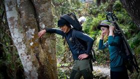 極島森林。(圖／LINE TV)