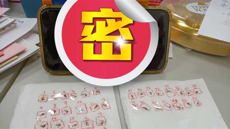 狂被叮他幫「設塔超渡」網：缺禮儀師