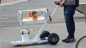 有網友看到，路上竟有人在「遛魚」。（圖／翻攝自動物梗圖星球 臉書）