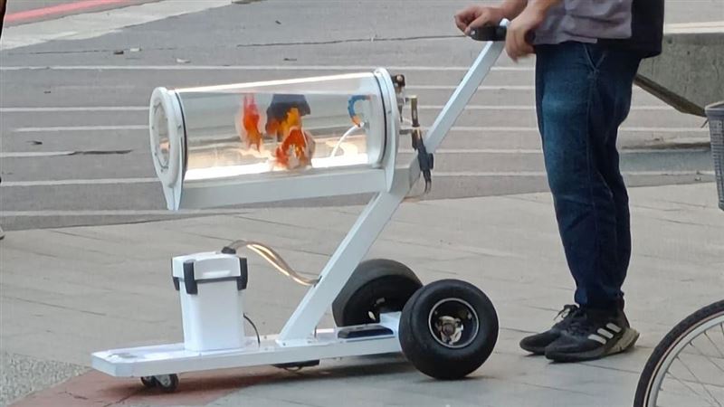 自製寵物推車遛魚　超猛飼主身分曝光