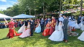 文 桐花戴罩婚1800