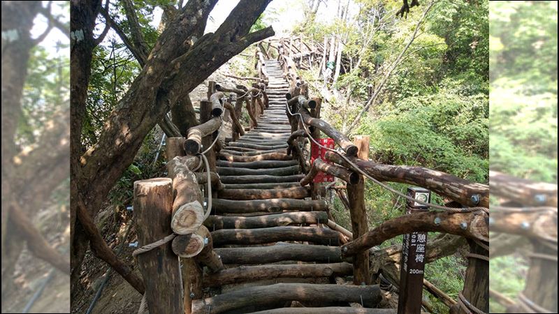 大坑步道重新開放！挑戰魔王級木棧道