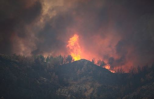 泰國曼谷恰圖恰市集附近一間啤酒餐廳發生火災，已造成至少30人死亡。（示意圖／翻攝自pixabay）