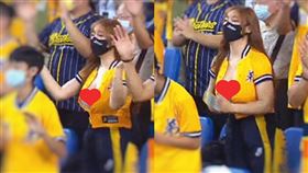 本壘奈,職棒,兄弟,球迷(翻攝自 匿名公社)