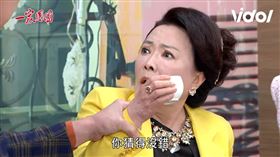 江宏恩,張瓊姿,張琴