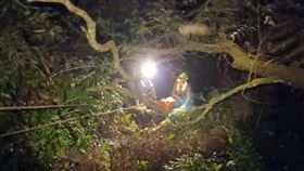 山友,北大武山,山難,墜崖,（圖／翻攝畫面）