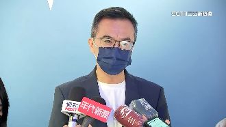 初選林杏兒出線　黃子哲不滿恐脫黨選