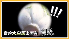 翻攝自農委會臉書