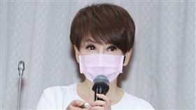 陳雅琳，李永得。(圖／邱榮吉攝影)