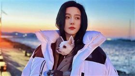 范冰冰近期在南韓拍新戲。（圖／翻攝自bingbing_fan IG）