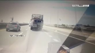 國道驚傳天降豬隻　網友心疼：感到痛