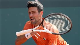 ▲世界球王喬科維奇（Novak Djokovic）無緣在家鄉塞爾維亞球迷面前摘冠。（圖／美聯社／達志影像）