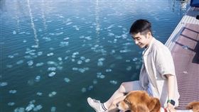 台南安平亞果遊艇碼頭,水母（圖／IG使用者提供）