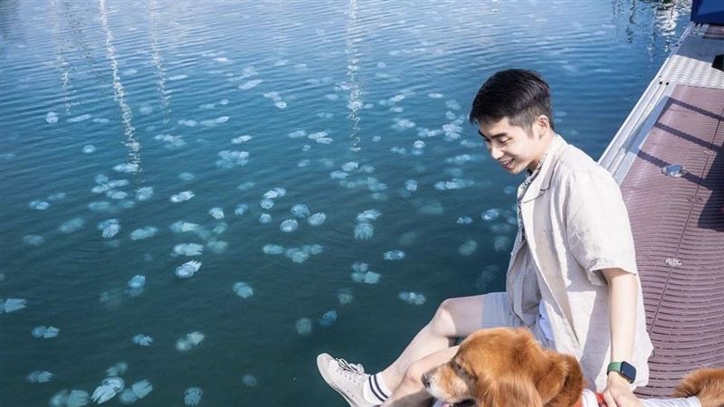 台南出現奇景　海面水母大爆發超壯觀