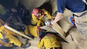 台南市，仁德，麵粉廠，員工，麥子堆，命危，移工