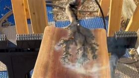 母湯亂學！美夫妻模仿抖音夯片「燒木頭」　誤觸高壓電慘死