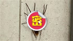 翻攝自報廢公社