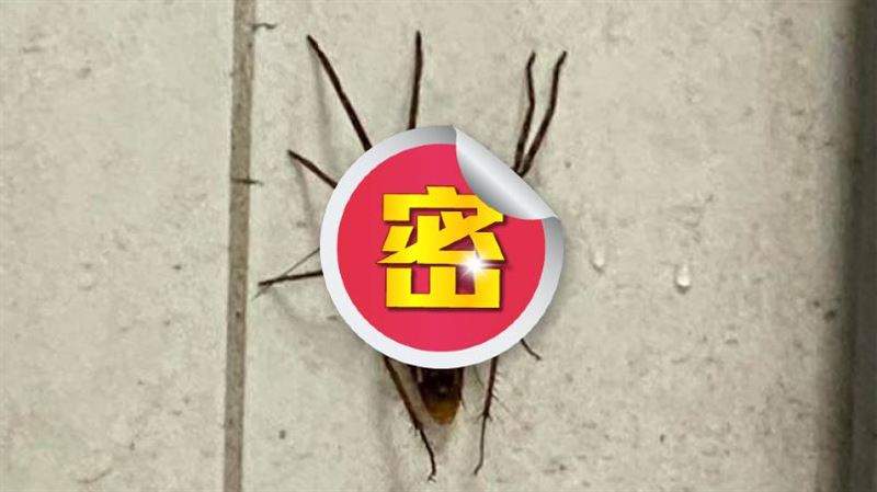 家中驚見12隻腳詭異生物　她崩潰了