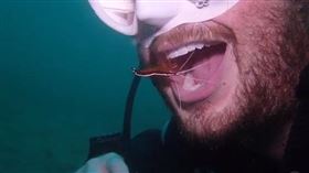 帕特里克讓清潔蝦幫他洗牙。（圖／翻攝自《p_seligmon》、《eduff2》IG）