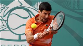 ▲喬科維奇（Novak Djokovic）自爆得了怪病。（圖／美聯社／達志影像）