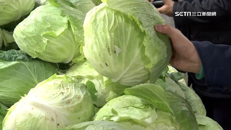 北農疫情逾百人確診　最壞狀況恐休市
