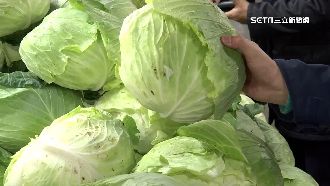 北農疫情逾百人確診　最壞狀況恐休市