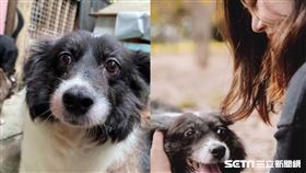 犬山居、照護員／受訪者提供