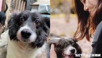 遭棄養又罹癌　她暖當家人陪最後一程