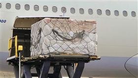 自購137.16萬劑莫德納疫苗到貨（2）國內疫情持續升溫，台灣自購COVID-19（2019冠狀病毒疾病）莫德納（Moderna）疫苗27日再到貨137.16萬劑，效期至7月3日。中央社記者吳睿騏桃園機場攝  111年4月27日