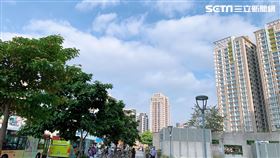 晴天,好天氣,天氣,藍天,藍天白雲,（圖／記者劉沛妘攝影）