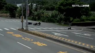 花蓮醉婦過馬路被撞飛　愛犬嚇壞逃竄