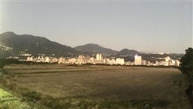 北市唯一的平原「關渡平原」田園風光，貴子坑溪自行車道