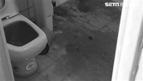 黃金屋。（圖／何女提供）