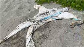 蘭嶼發現海洋廢棄物 竟是防護衣 民眾提供