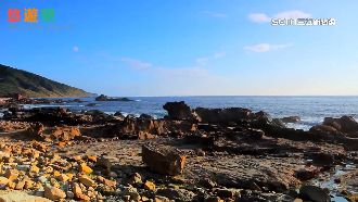 佳樂水曾奪公共造產金雞母　念書免錢