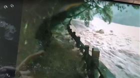 新北市,雙溪,虎豹潭,失聯,洪水,溪水暴漲,落水