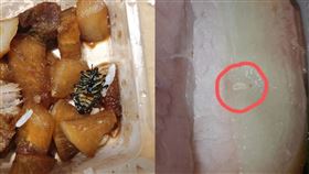 上海同濟大學的飯菜出現蟲卵、死蟲。（圖／翻攝自網易新聞）