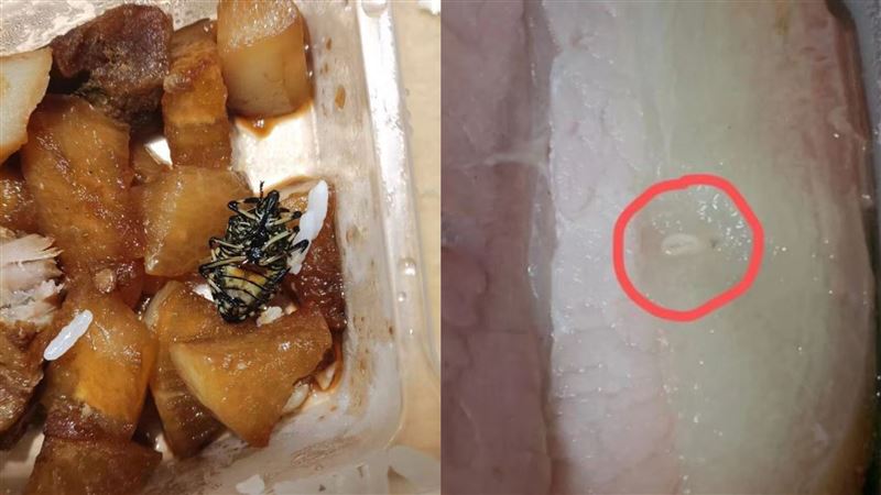 大學封閉管理　防疫餐驚見寄生蟲卵