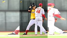 ▲兄弟5局上海灌6分，終場9：1痛宰味全。（圖／中信兄弟提供）