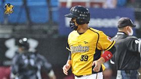 ▲中信兄弟詹子賢回本壘得分，強迫取分打者沒點到、捕手沒接到球。（圖／中信兄弟球團提供）