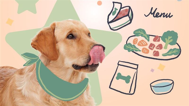 工作犬五一照上班　五大寵犬方法看這