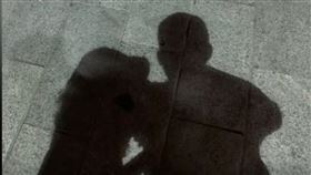 合影,拍照技術,狗,金毛