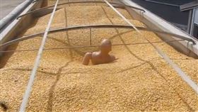 台南,工安意外,麵粉廠,穀倉,